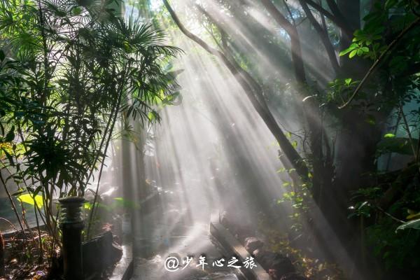 绝地求生